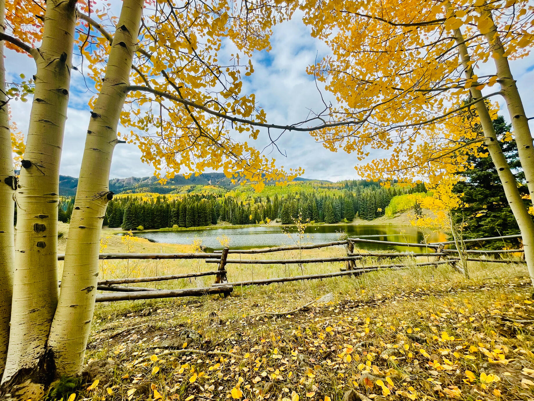 Silverjack, Colorado